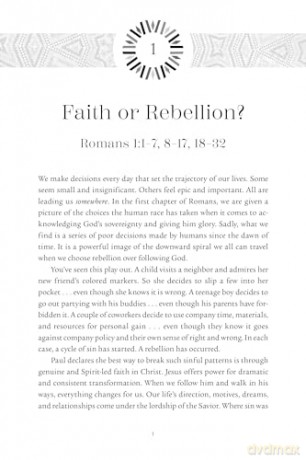 Romans Bible Study: Living Our Faith with Grace and Truth (NIV Application Commentary Resources) - Kevin G. Harney [KSIĄŻKA]