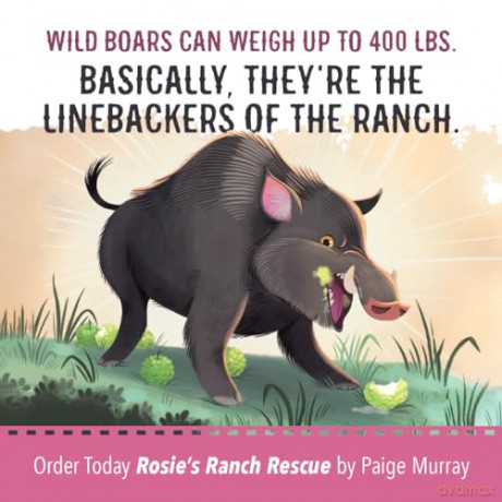 Rosie's Ranch Rescue: Taking Care of Each Other (Rosie the Horse) - Paige Murray [KSIĄŻKA]