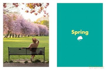 Rough Guides City Stories: Edinburgh Seasons - Rough Guides [KSIĄŻKA]