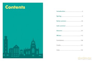 Rough Guides City Stories: Edinburgh Seasons - Rough Guides [KSIĄŻKA]