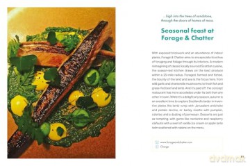 Rough Guides City Stories: Edinburgh Seasons - Rough Guides [KSIĄŻKA]