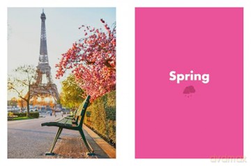Rough Guides City Stories: Paris Seasons - Rough Guides [KSIĄŻKA]
