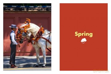 Rough Guides City Stories: Seville Seasons - Rough Guides [KSIĄŻKA]