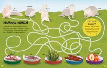 RSPB Nature Activity Book - Rspb [KSIĄŻKA]