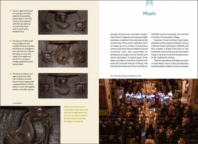 Saint Mary's Cathedral Limerick: A Guide - Ros Stevenson [KSIĄŻKA]