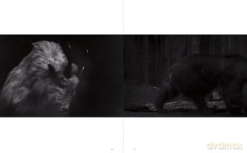 Sakiko Nomura: Tender is the Night - Simon Baker [KSIĄŻKA]