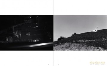 Sakiko Nomura: Tender is the Night - Simon Baker [KSIĄŻKA]