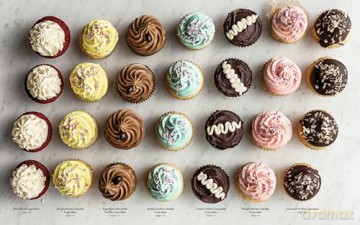 Sally's Baking 101: Foolproof Recipes from Easy to Advanced - Sally McKenney [KSIĄŻKA]