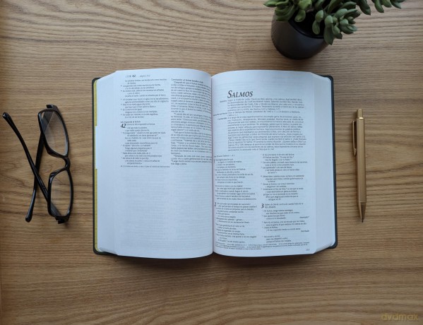 Santa Biblia NTV, Edición Premio Y Regalo, Vinipiel - Tyndale [KSIĄŻKA]