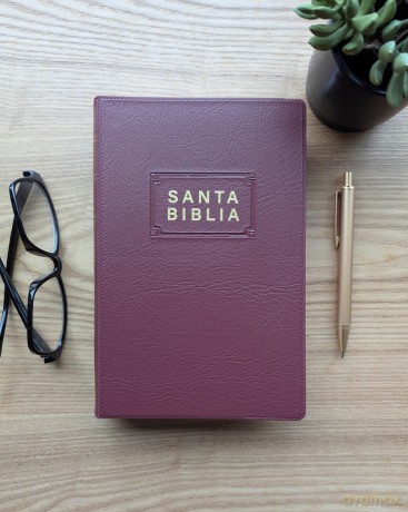 Santa Biblia NTV, Edición Premio Y Regalo, Vinipiel - Tyndale [KSIĄŻKA]