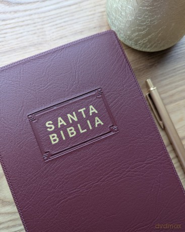 Santa Biblia NTV, Edición Premio Y Regalo, Vinipiel - Tyndale [KSIĄŻKA]