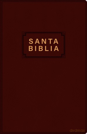 Santa Biblia NTV, Edición Premio Y Regalo, Vinipiel - Tyndale [KSIĄŻKA]