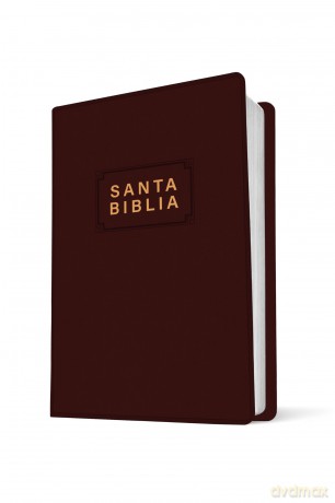 Santa Biblia NTV, Edición Premio Y Regalo, Vinipiel - Tyndale [KSIĄŻKA]