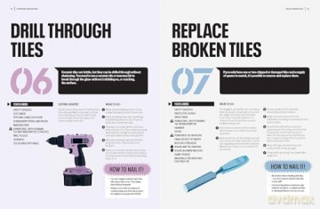 Sarah Beeny's 100 DIY Jobs: The essentials made simple - Sarah Beeny [KSIĄŻKA]