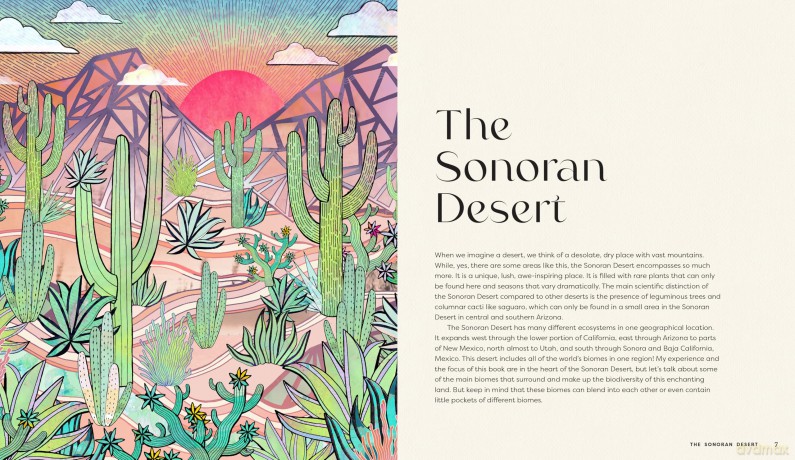 Seasons of the Desert: The Wellness Wisdom of Southwestern Native Plants - Sonoran Rosie [KSIĄŻKA]