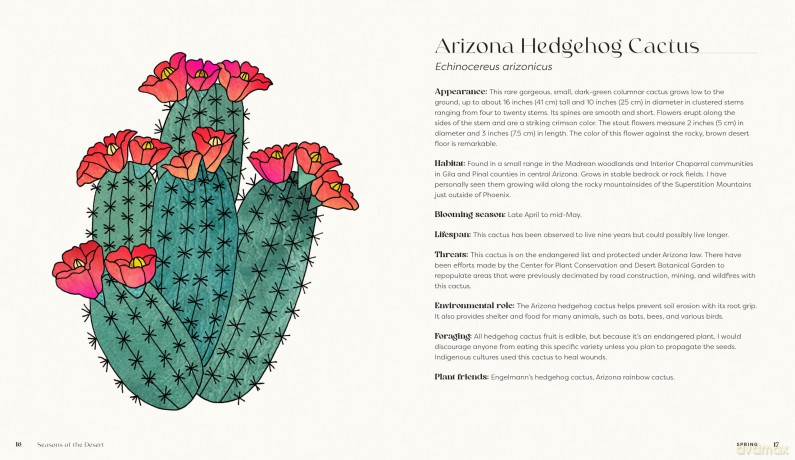 Seasons of the Desert: The Wellness Wisdom of Southwestern Native Plants - Sonoran Rosie [KSIĄŻKA]