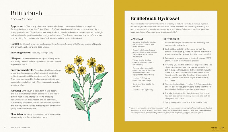 Seasons of the Desert: The Wellness Wisdom of Southwestern Native Plants - Sonoran Rosie [KSIĄŻKA]