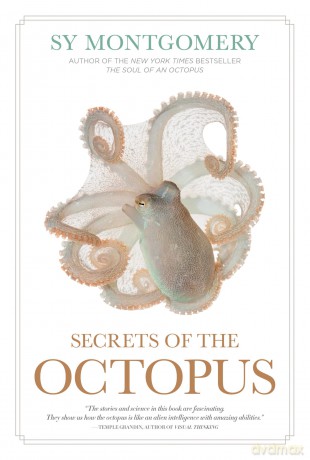 Secrets of the Octopus - Sy Montgomery [KSIĄŻKA]