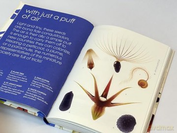 Seeds: Nature's Intrepid Miracles - Cruschiform [KSIĄŻKA]