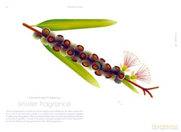 Seeds: Nature's Intrepid Miracles - Cruschiform [KSIĄŻKA]