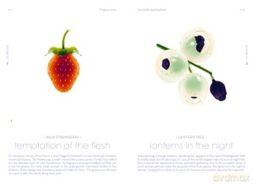 Seeds: Nature's Intrepid Miracles - Cruschiform [KSIĄŻKA]