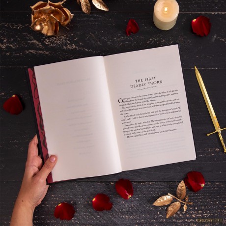 Seven Deadly Thorns: the irresistible enemies-to-lovers romantasy - Amber Hamilton [KSIĄŻKA]