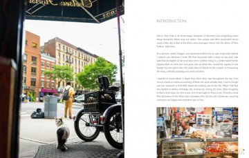 Shop Cats of New York (Revised and Expanded) - Andrew Marttila [KSIĄŻKA]
