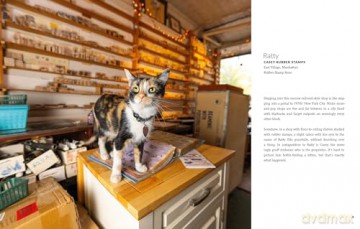 Shop Cats of New York (Revised and Expanded) - Andrew Marttila [KSIĄŻKA]