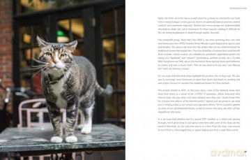 Shop Cats of New York (Revised and Expanded) - Andrew Marttila [KSIĄŻKA]