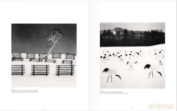 Silver Haikus (Bilingual edition): Asia photographed by Michael Kenna - Pico Iyer [KSIĄŻKA]