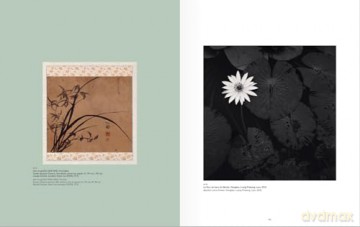 Silver Haikus (Bilingual edition): Asia photographed by Michael Kenna - Pico Iyer [KSIĄŻKA]