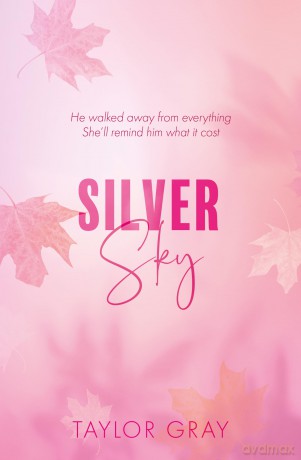 Silver Sky: Book 2 (The Carter Brothers) - Taylor Gray [KSIĄŻKA]