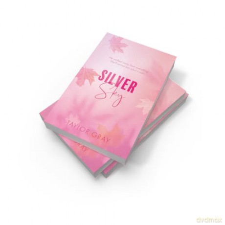 Silver Sky: Book 2 (The Carter Brothers) - Taylor Gray [KSIĄŻKA]