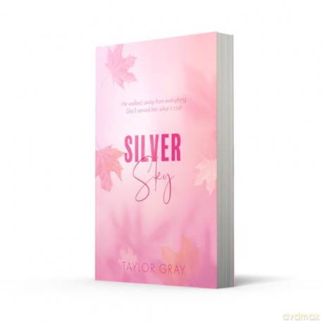 Silver Sky: Book 2 (The Carter Brothers) - Taylor Gray [KSIĄŻKA]