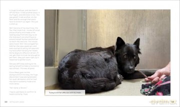 Sitting with Dogs: Stories of Rescue Dogs Going from Lost to Loved - Rocky Kanaka [KSIĄŻKA]