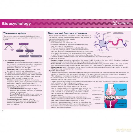 SnapRevise A-Level Psychology Summary Notes - SnapRevise [KSIĄŻKA]