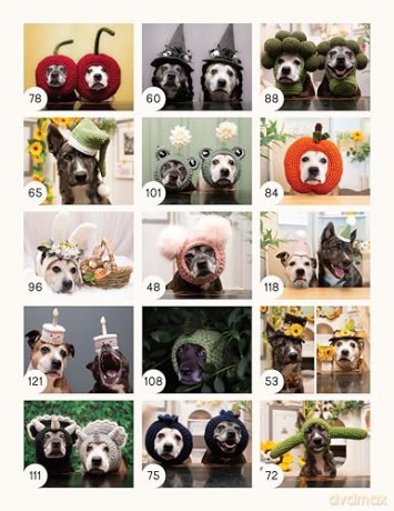 Sookie and Ivy Crochet Cute Dog Hats: Funny Snoods and Toppers to Stitch for Your Best Friend - Jani Oja [KSIĄŻKA]