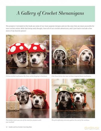 Sookie and Ivy Crochet Cute Dog Hats: Funny Snoods and Toppers to Stitch for Your Best Friend - Jani Oja [KSIĄŻKA]