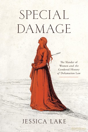 Special Damage: The Slander of Women and the Gendered History of Defamation Law (The Cultural Lives of Law) - Jessica Lake [KSIĄŻKA]