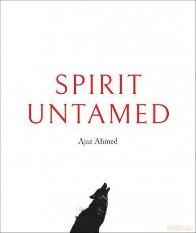 Spirit Untamed - Ajaz Ahmed [KSIĄŻKA]