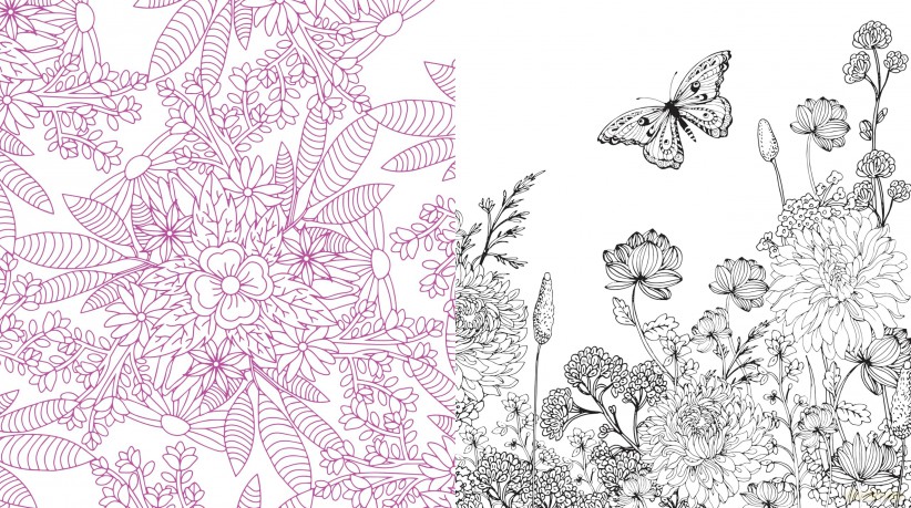 Spring is Here! A Coloring Book: Color the Season of Beautiful Blooms and Beginnings - Over 100 Pages to Color (Chartwell Coloring Books) - Editors of Chartwell Books [KSIĄŻKA]