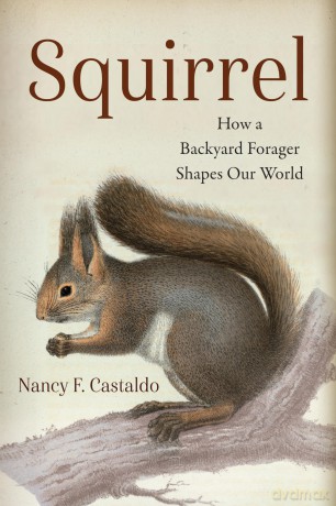 Squirrel: How a Backyard Forager Shapes Our World - Nancy Castaldo [KSIĄŻKA]