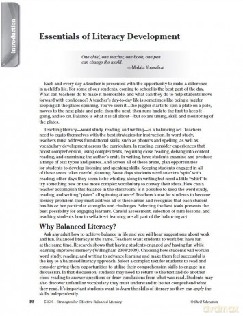 Strategies for Effective Balanced Literacy (Professional Resources) - Mary Jo Fresch [KSIĄŻKA]