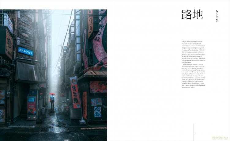 Street Level Japan: Experience the Bustling Streets of Japanese Cities - Hiroki Harada [KSIĄŻKA]