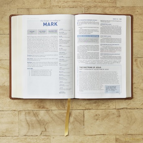 Student Study Bible: A Guide to Knowing and Living God's Word (NKJV, Brown Leathersoft, Red Letter, Comfort Print) - Thomas Nelson [KSIĄŻKA]