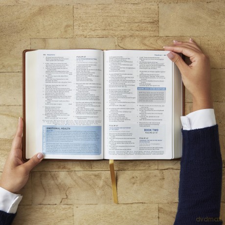 Student Study Bible: A Guide to Knowing and Living God's Word (NKJV, Hardcover, Red Letter, Comfort Print) - Thomas Nelson [KSIĄŻKA]