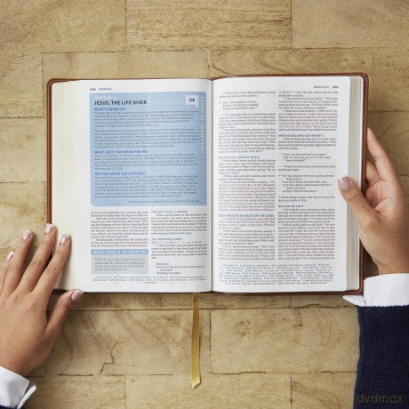 Student Study Bible: A Guide to Knowing and Living God's Word (NKJV, Pink Leathersoft, Red Letter, Comfort Print) - Thomas Nelson [KSIĄŻKA]