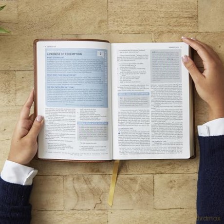Student Study Bible: A Guide to Knowing and Living God's Word (NKJV, Softcover, Red Letter, Comfort Print) - Thomas Nelson [KSIĄŻKA]