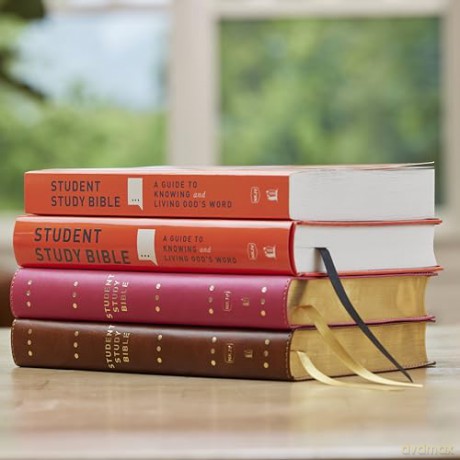 Student Study Bible: A Guide to Knowing and Living God's Word (NKJV, Softcover, Red Letter, Comfort Print) - Thomas Nelson [KSIĄŻKA]