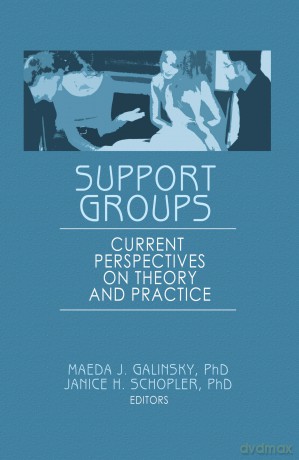 Support Groups: Current Perspectives on Theory and Practice - Janice H Schopler [KSIĄŻKA]